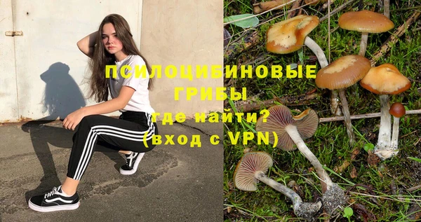 дмт Кукмор