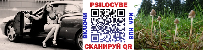 где купить наркоту  Ядрин  гидра   Псилоцибиновые грибы мицелий 